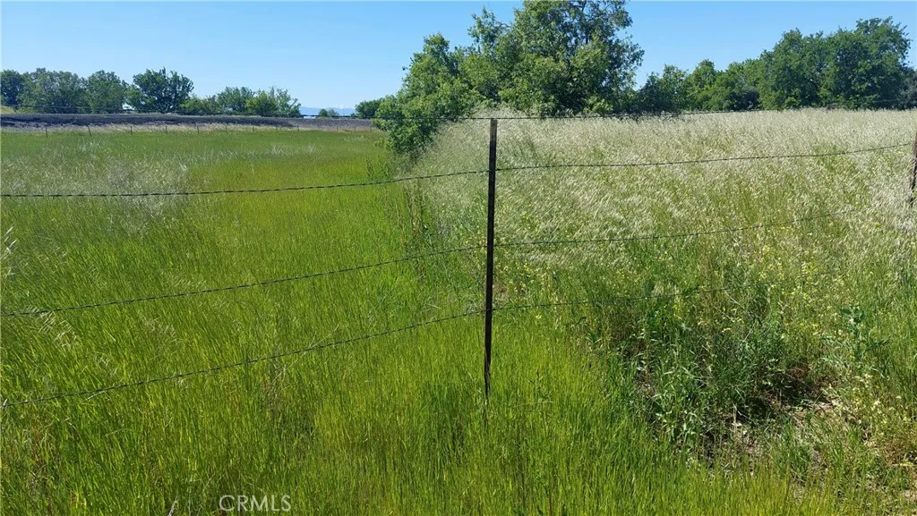 main property photo 54