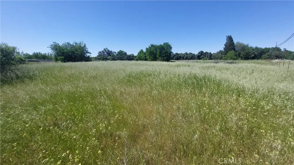 main property photo 57