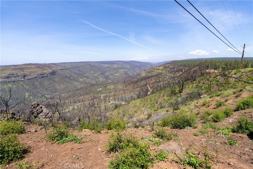 main property photo 54