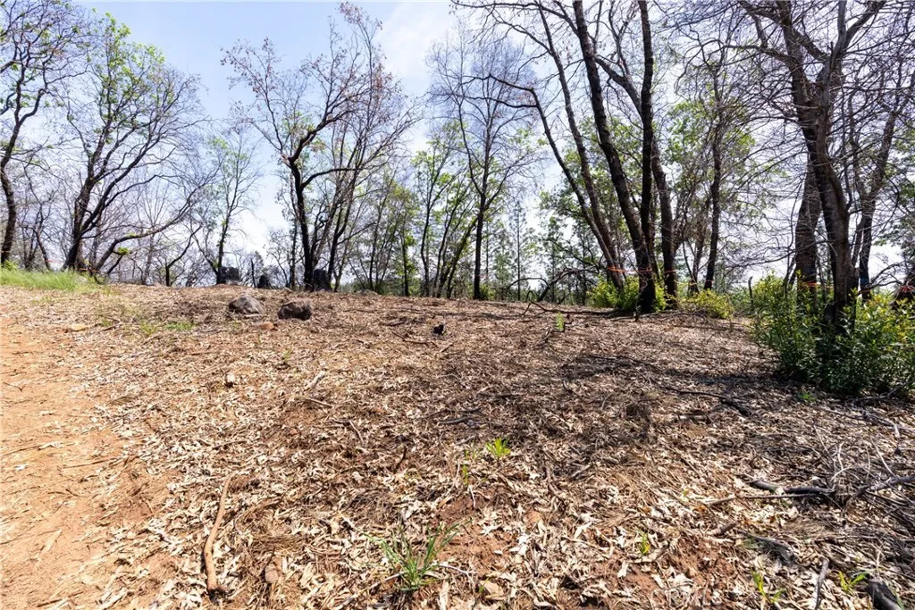main property photo 58