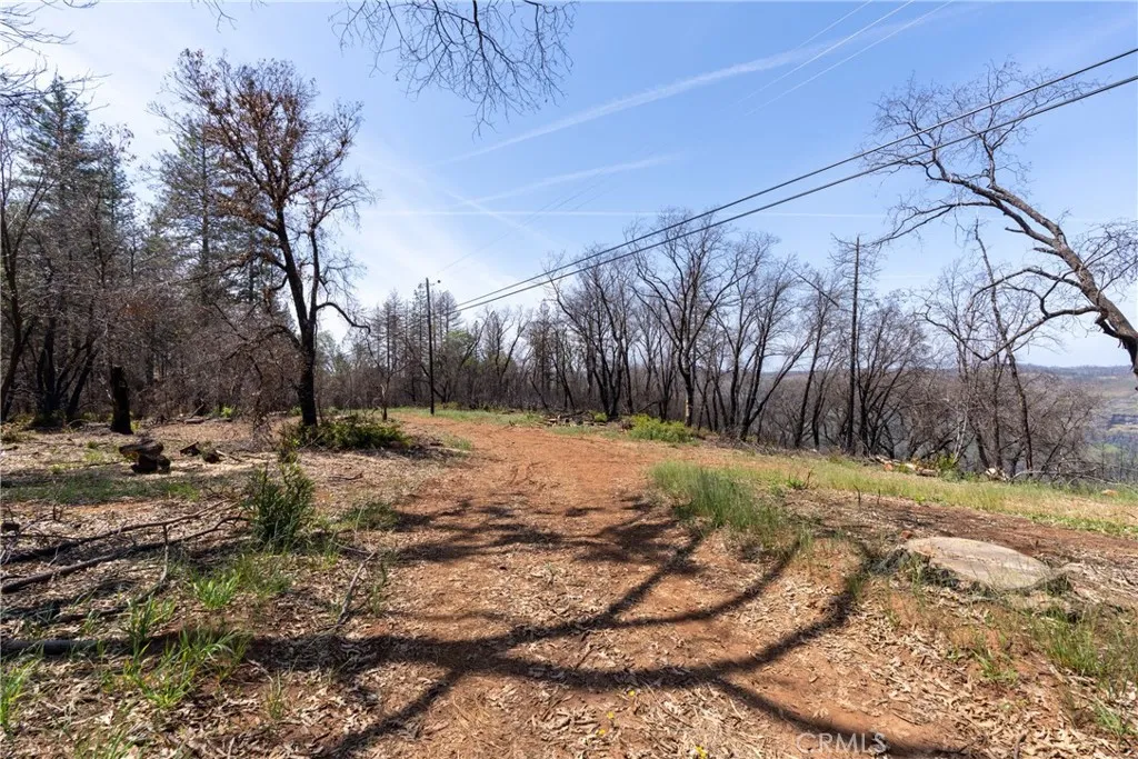 main property photo 59