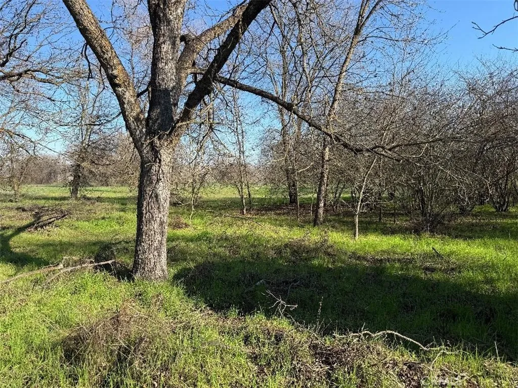 main property photo 25