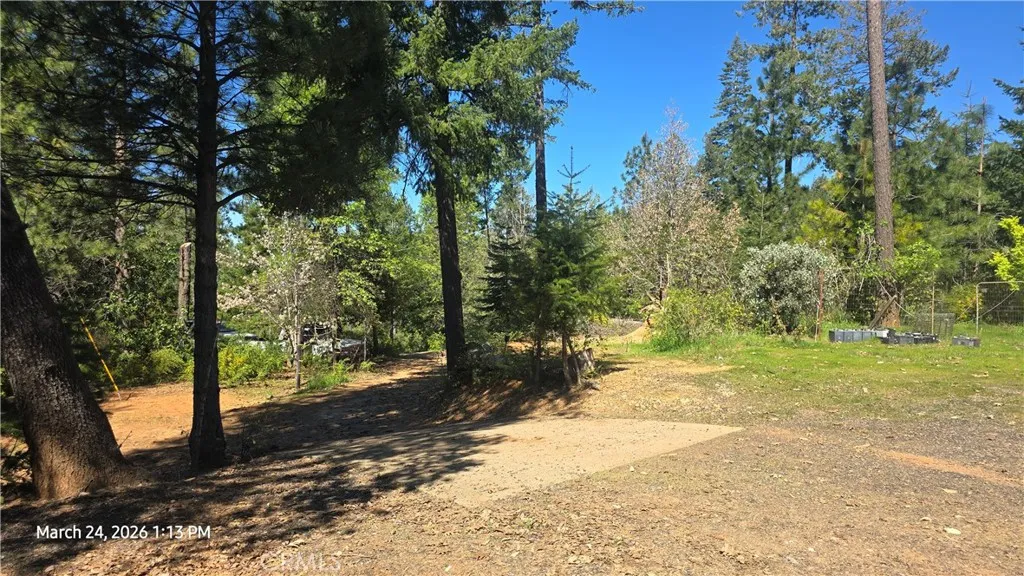 main property photo 65