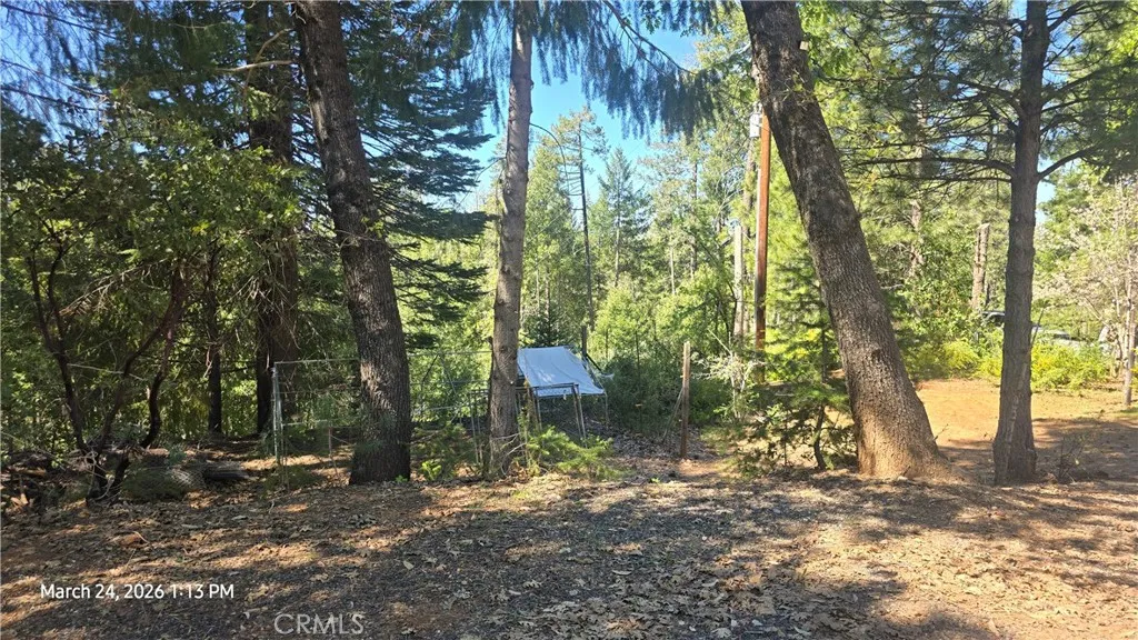 main property photo 67