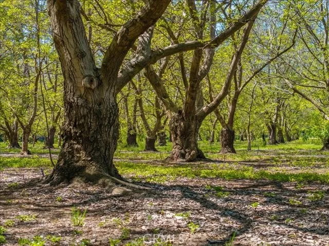 main property photo 62