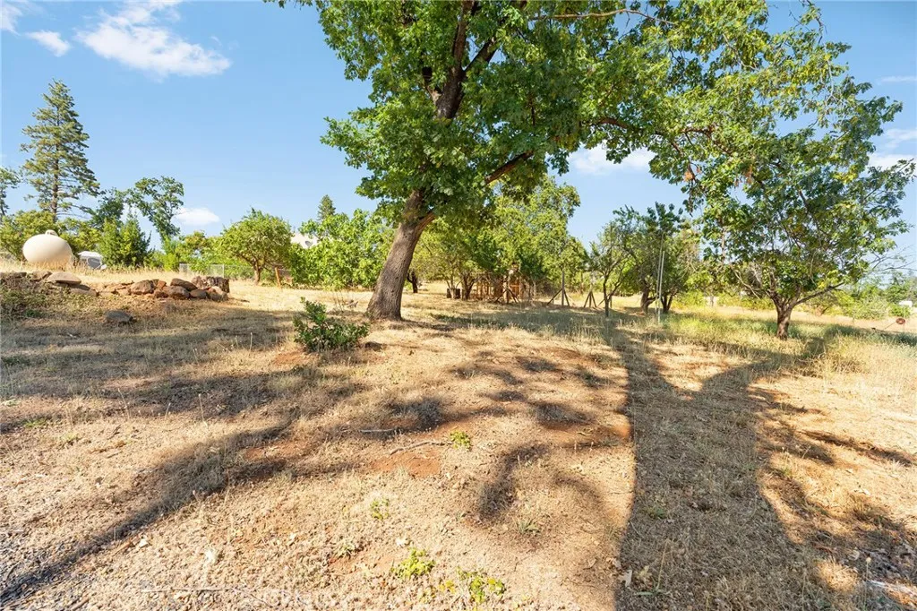 main property photo 43