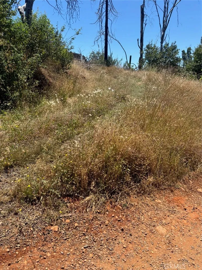 main property photo 6