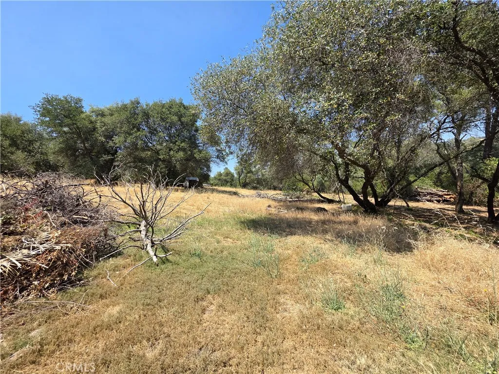 main property photo 41