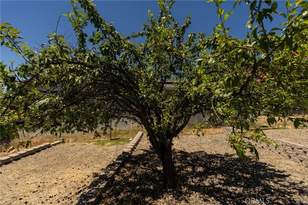 main property photo 49