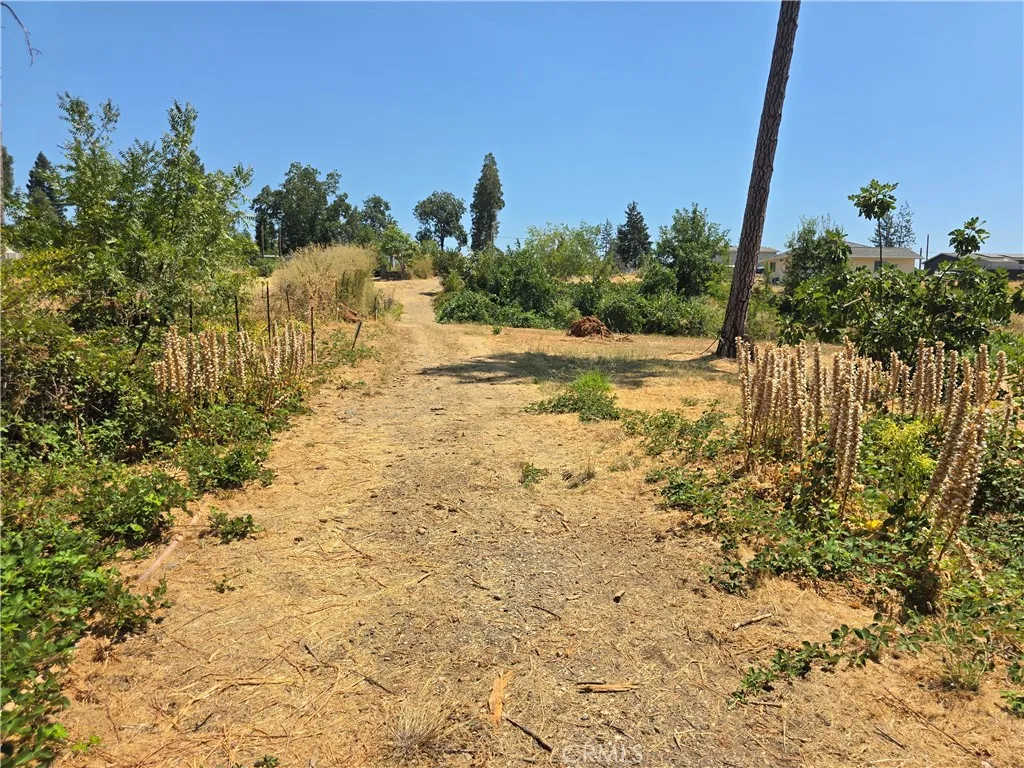 main property photo 14