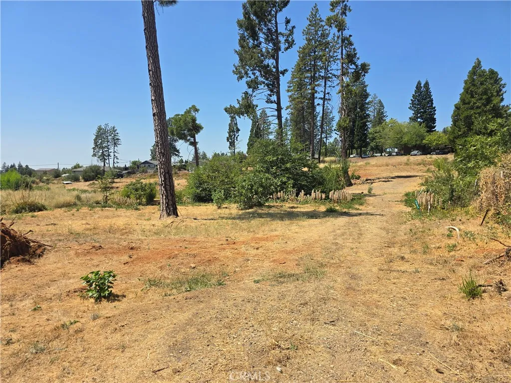 main property photo 6