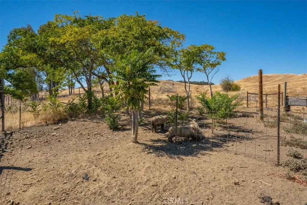 main property photo 61