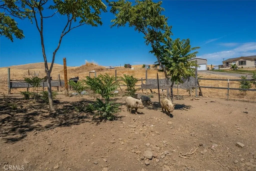 main property photo 62