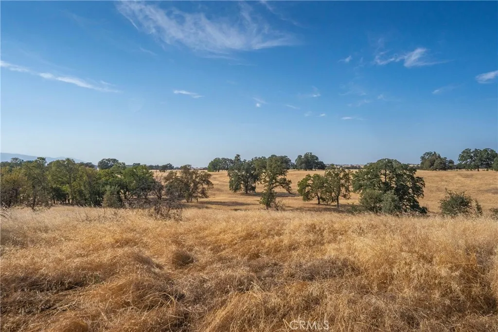 main property photo 56