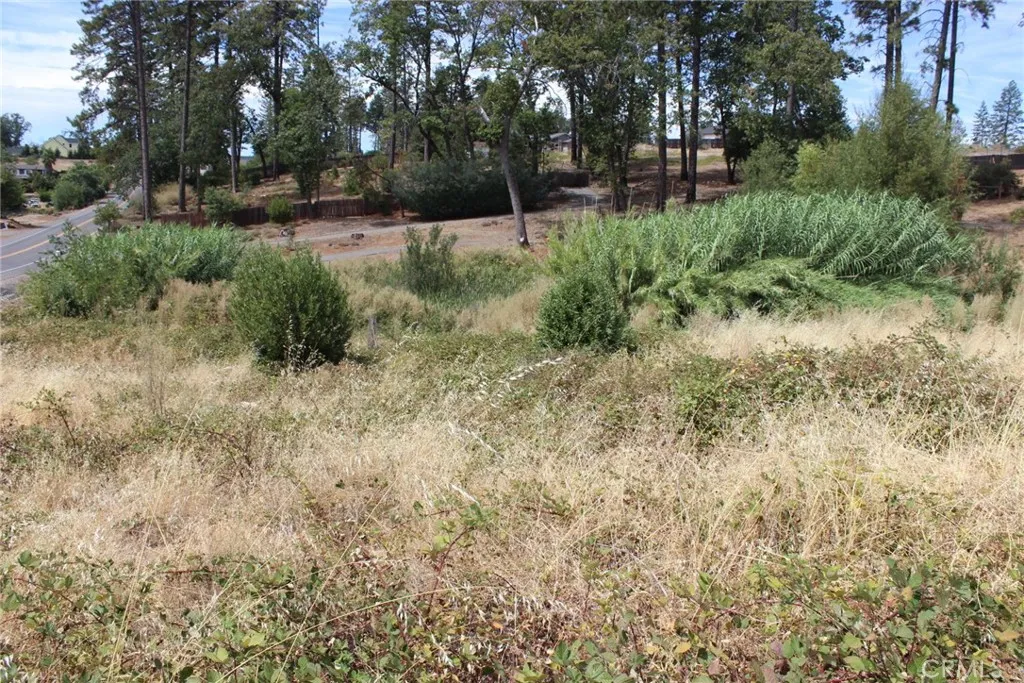 main property photo 19