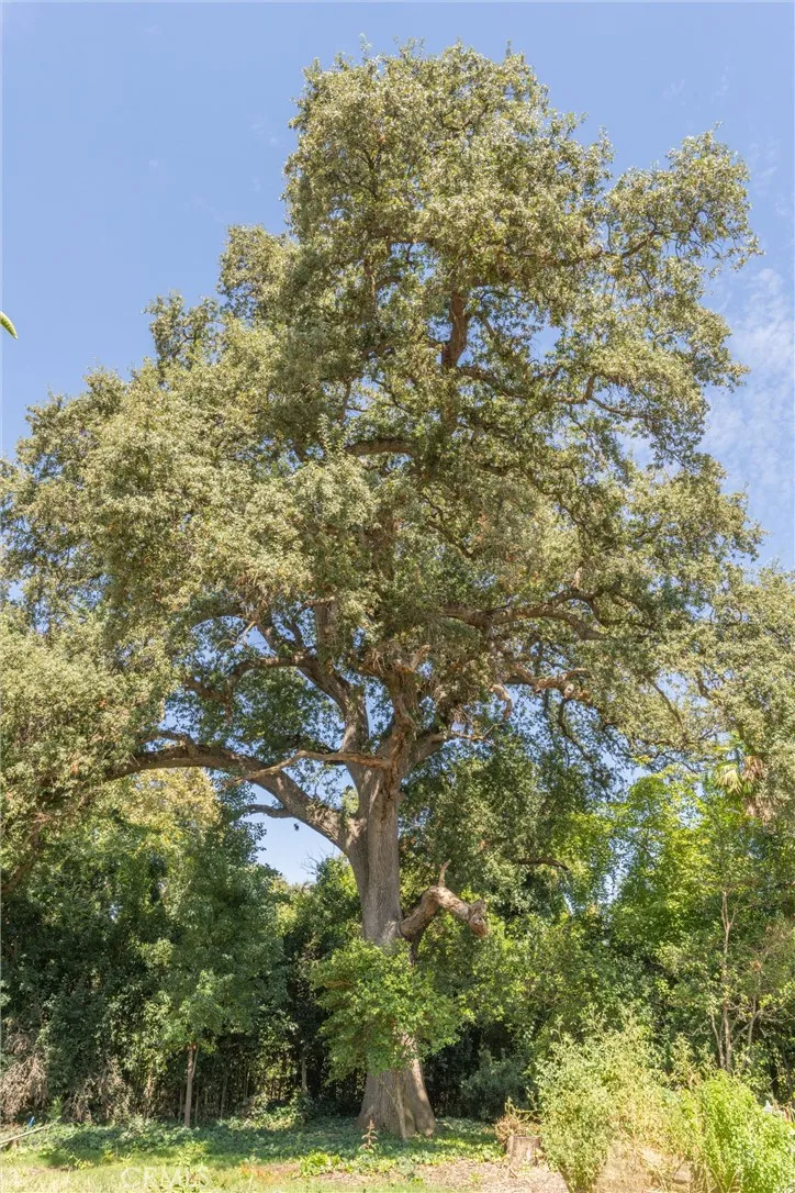 main property photo 54