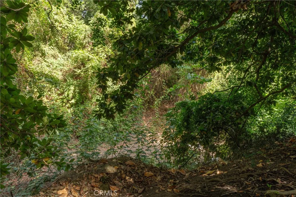 main property photo 61