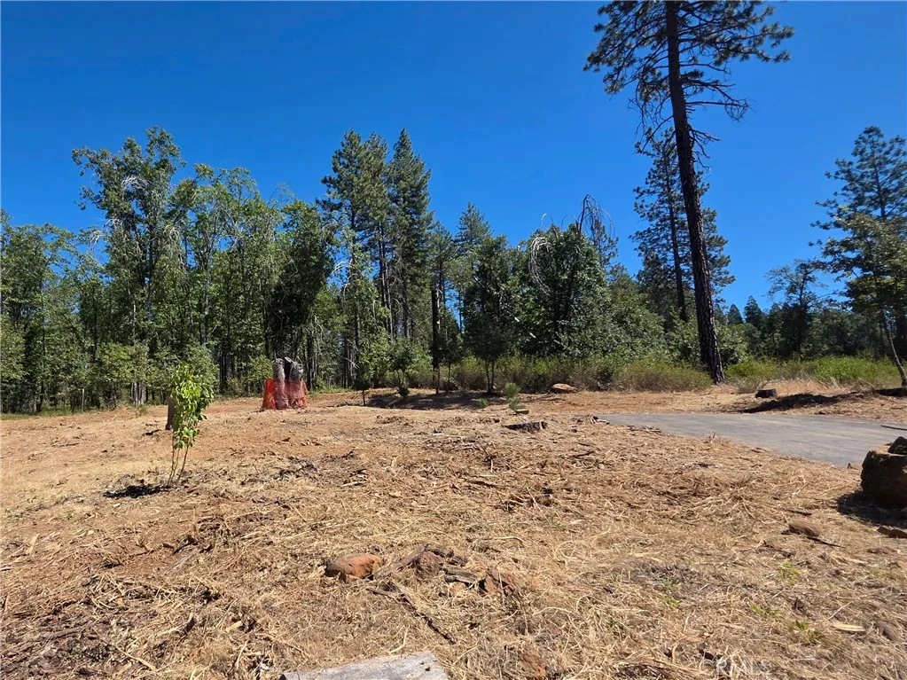 main property photo 10