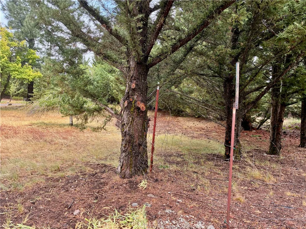 main property photo 22