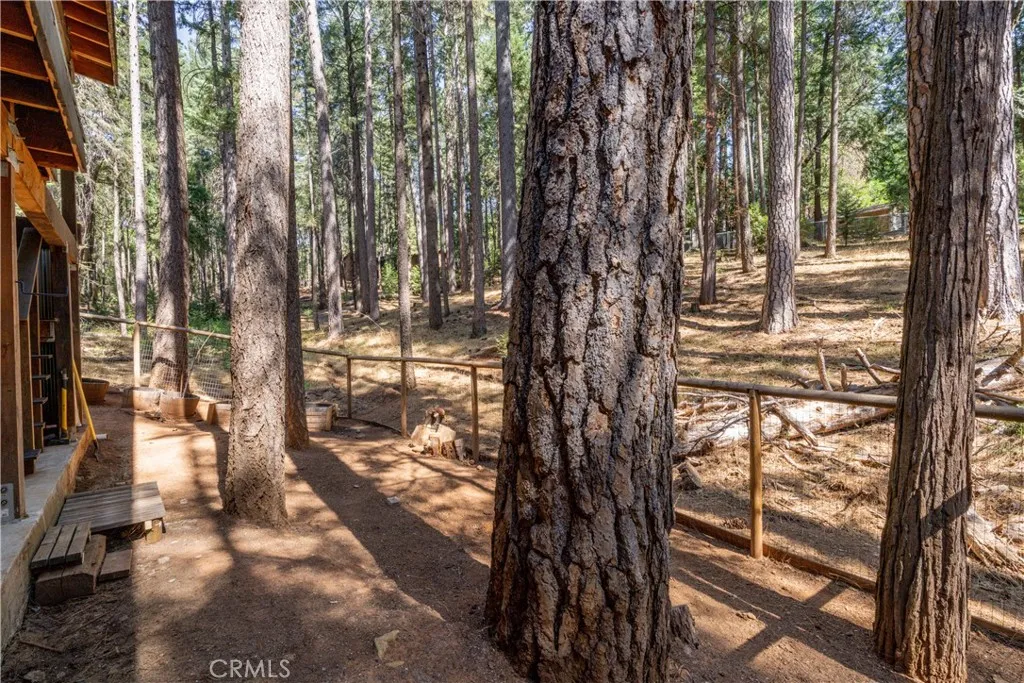 main property photo 51