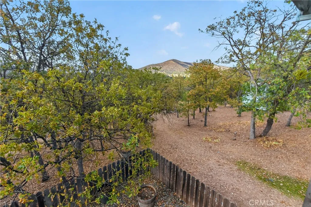 main property photo 61