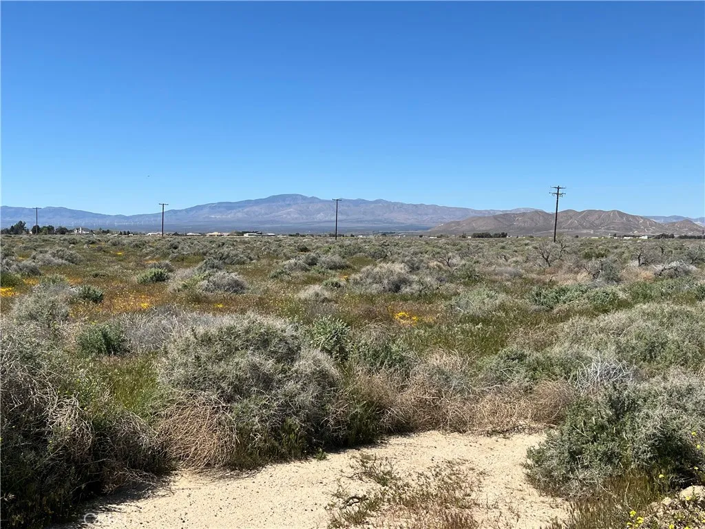 main property photo 4