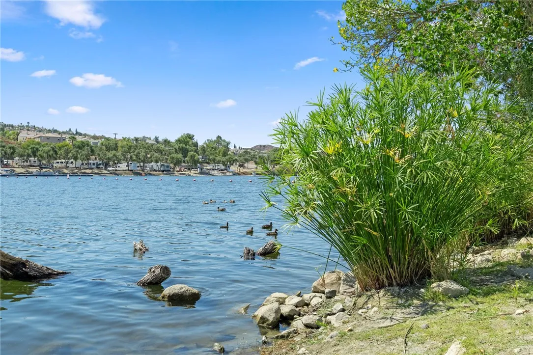 main property photo 55