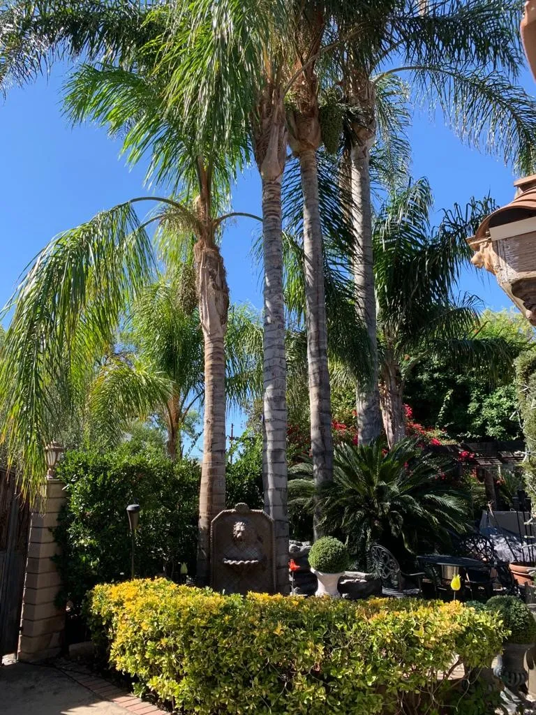 main property photo 54