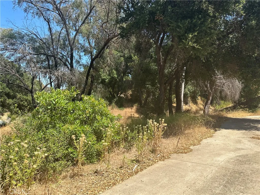 main property photo 33
