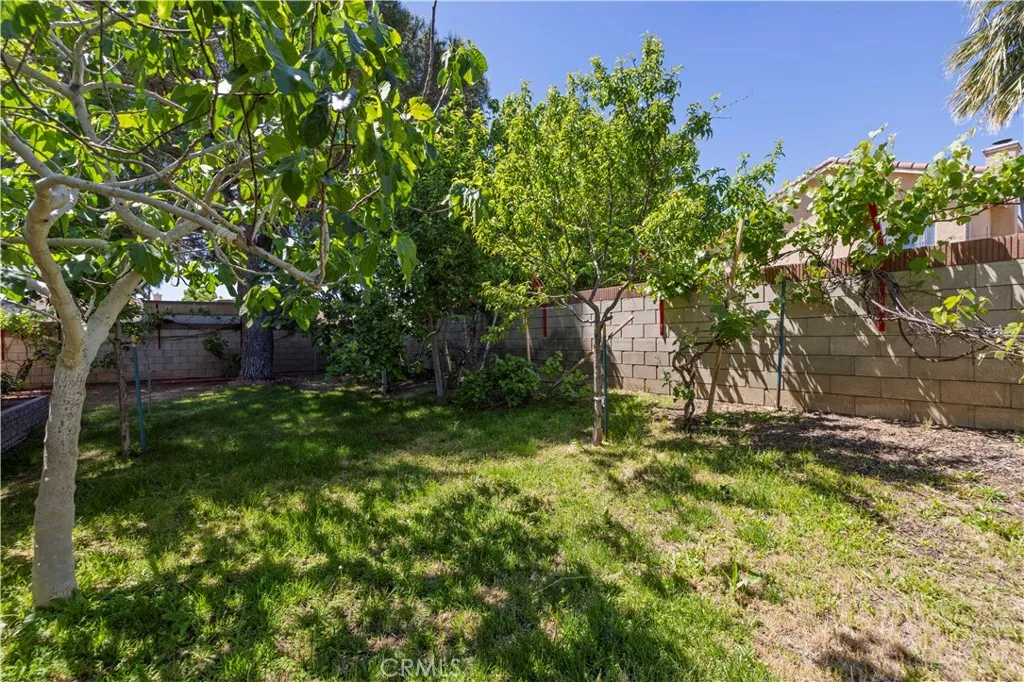 main property photo 41