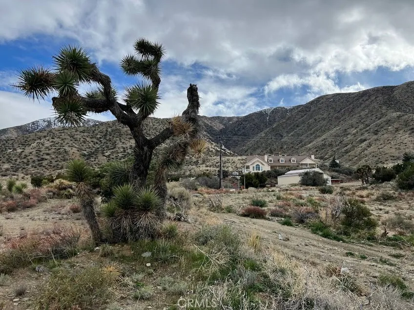 main property photo 31