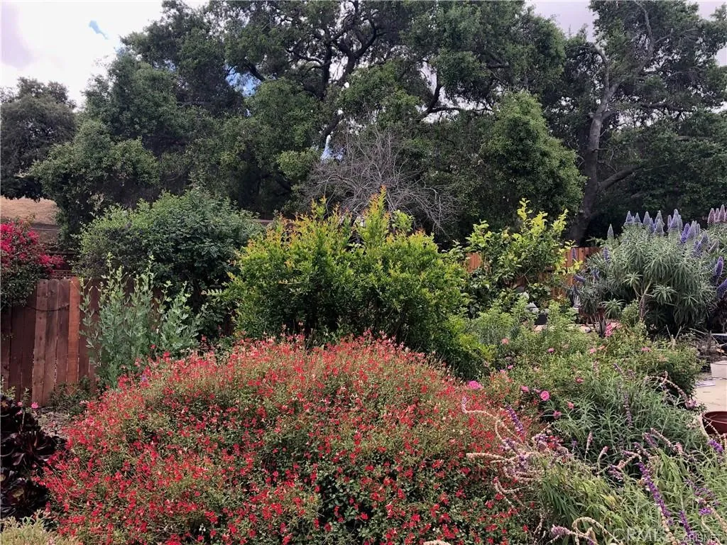 main property photo 58