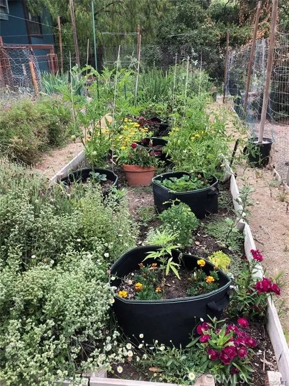 main property photo 61