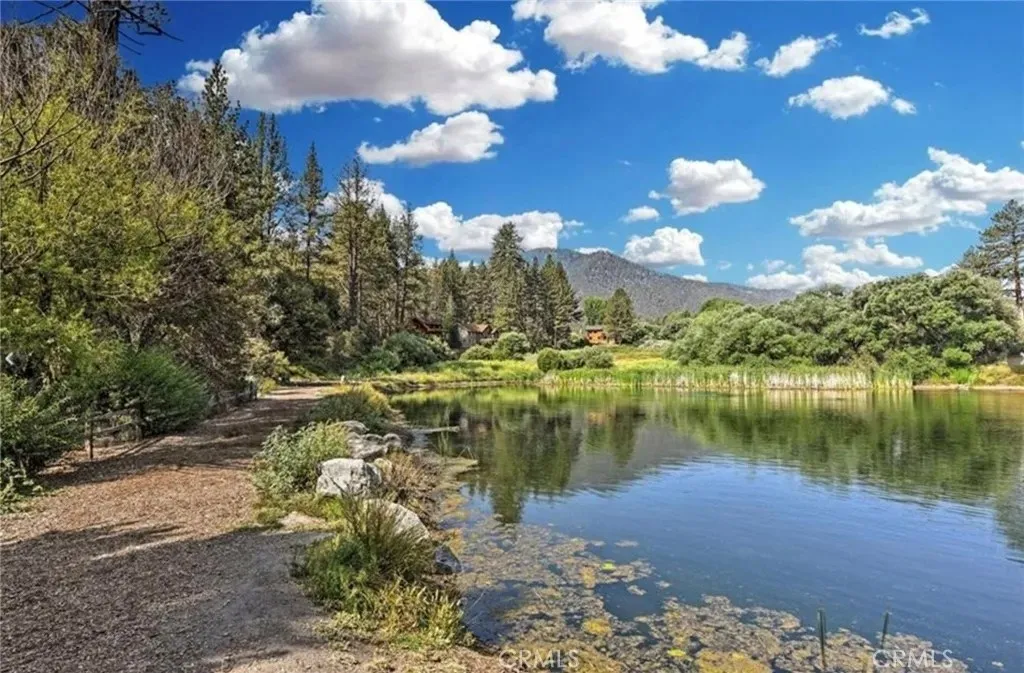 main property photo 59