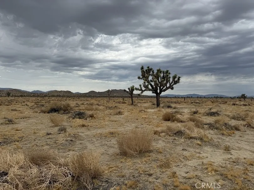 main property photo 29