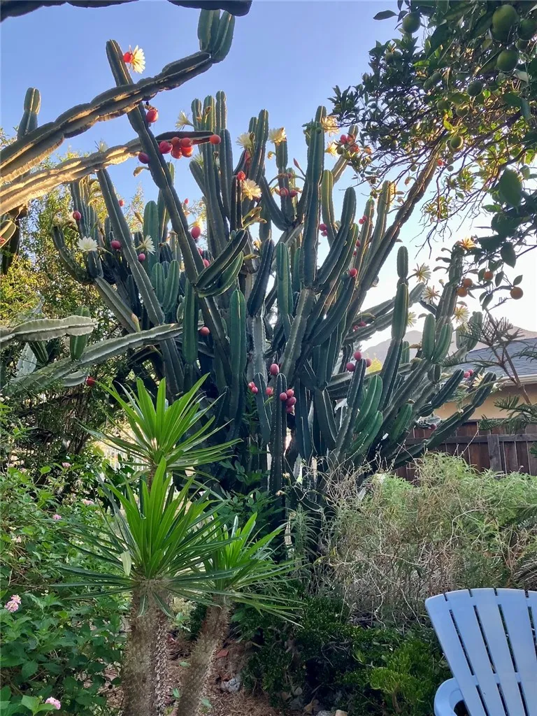 main property photo 55