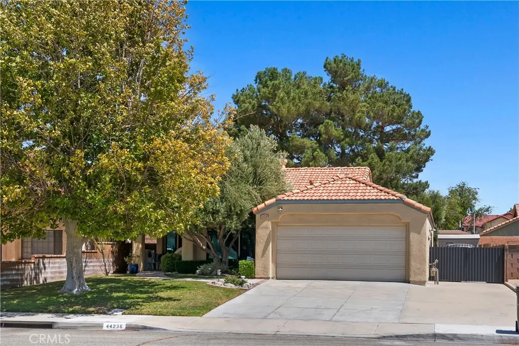 main property photo 54