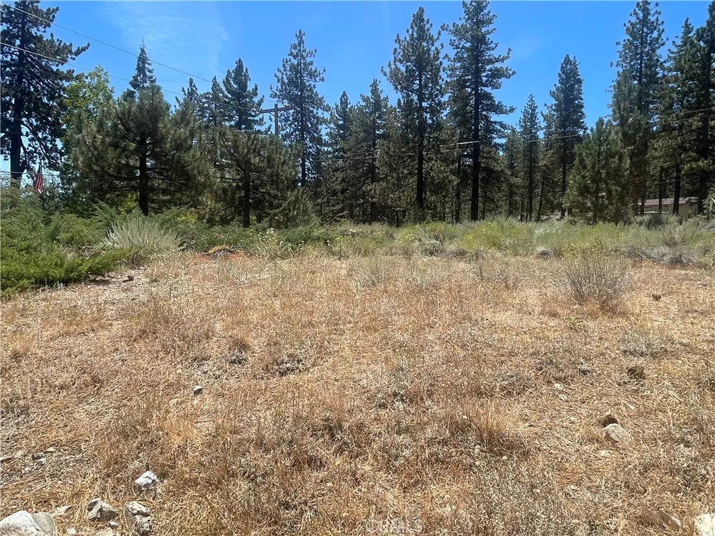 main property photo 31