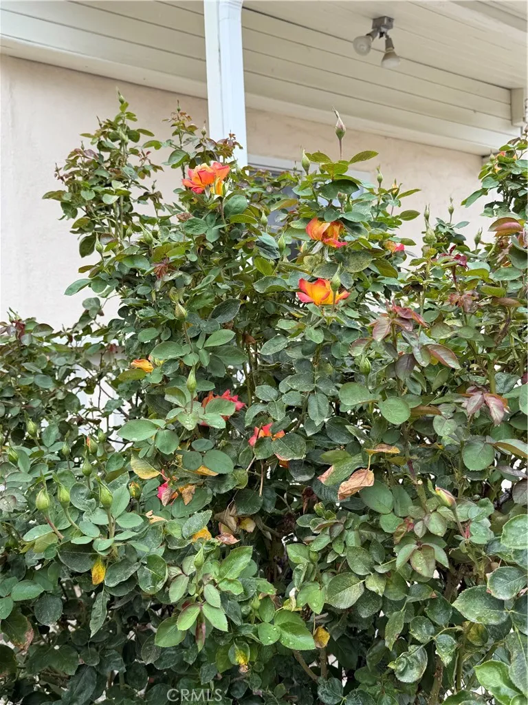 main property photo 69