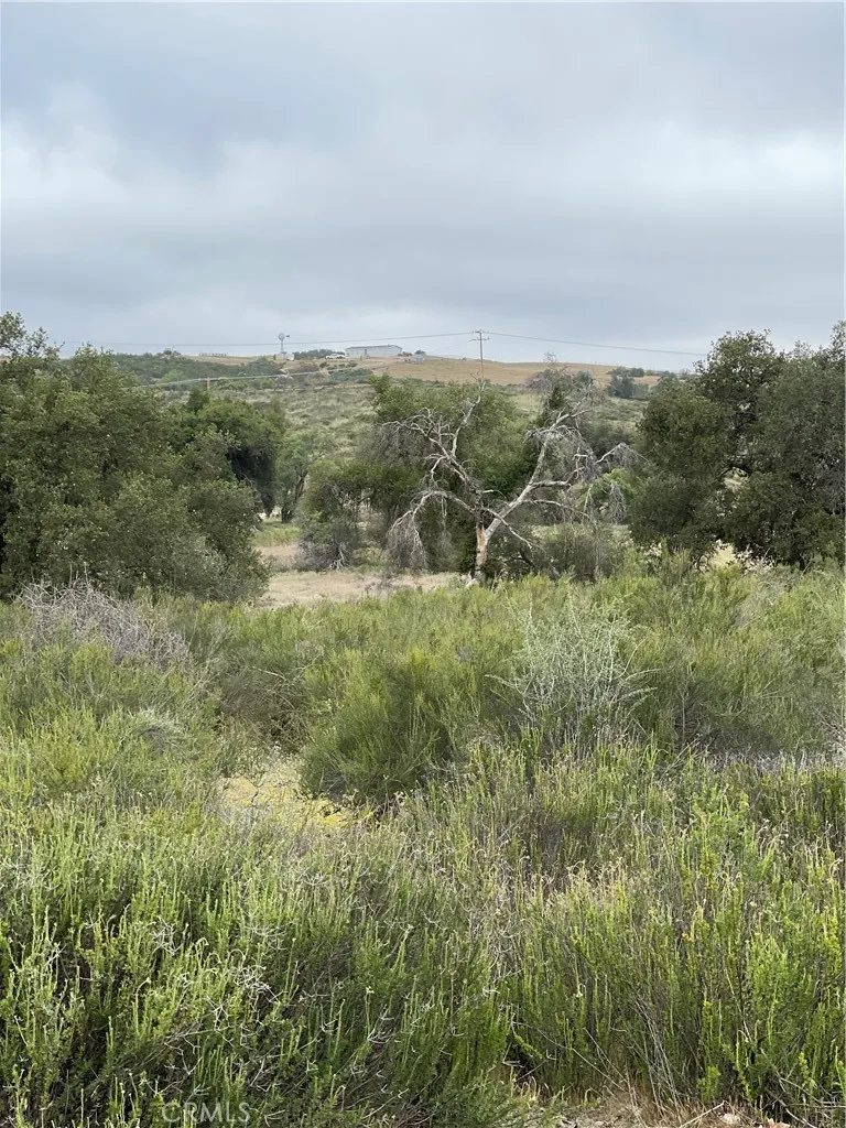 main property photo 11