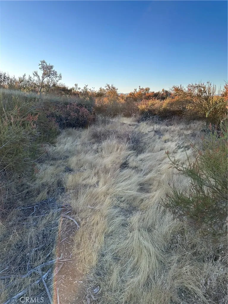 main property photo 6