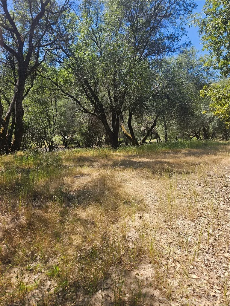 main property photo 37