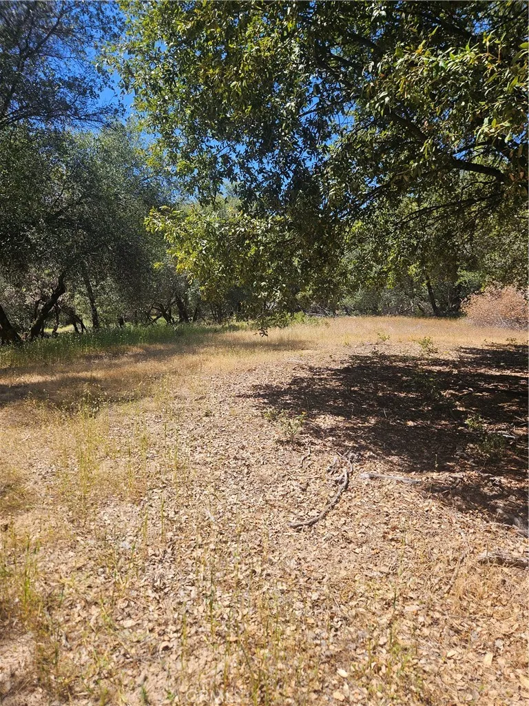 main property photo 38