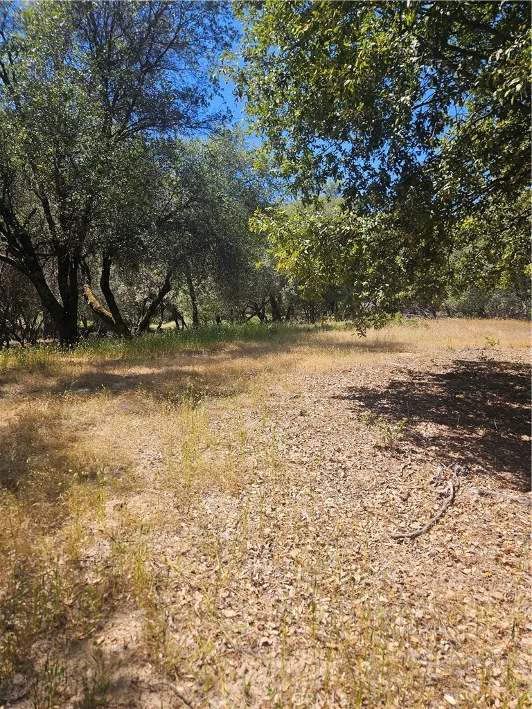 main property photo 40