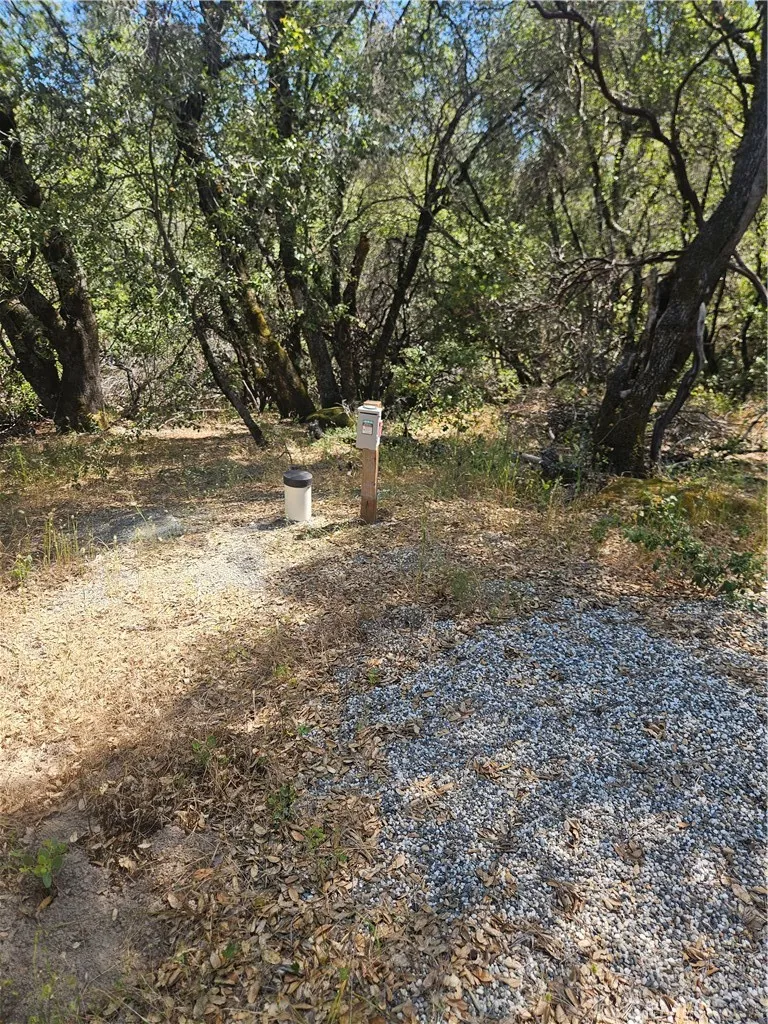 main property photo 41