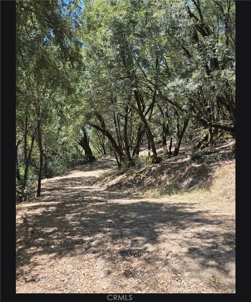 main property photo 44