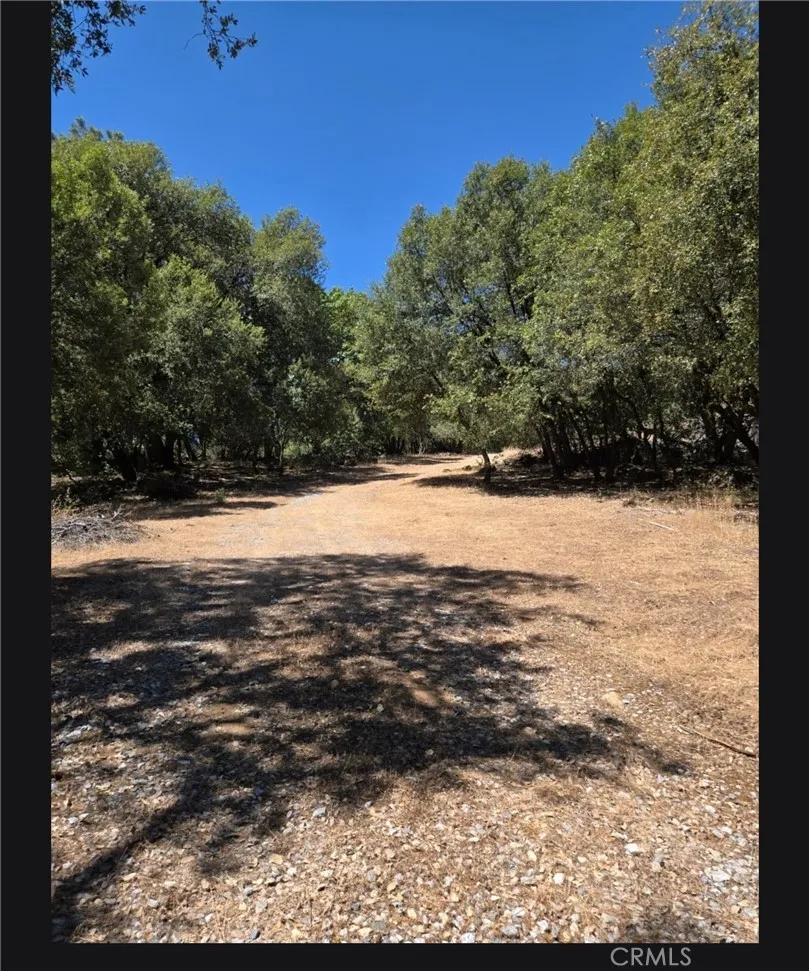 main property photo 48