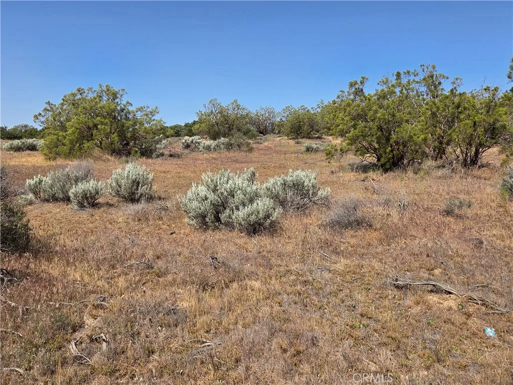 main property photo 10