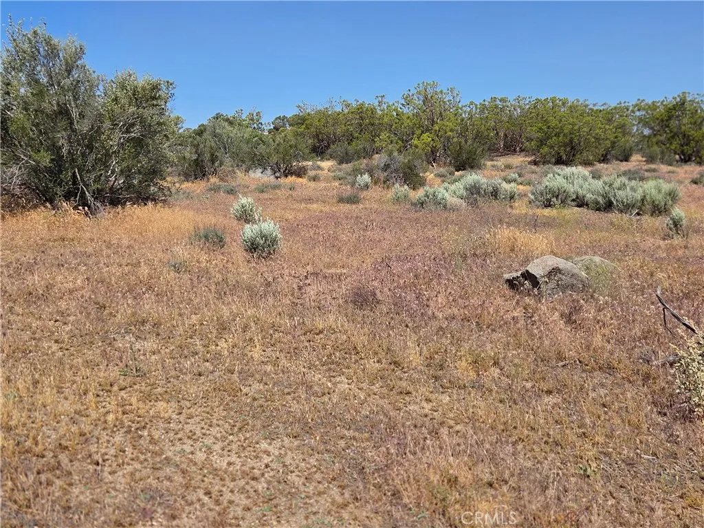 main property photo 13