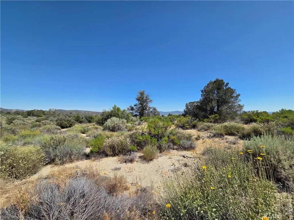 main property photo 9